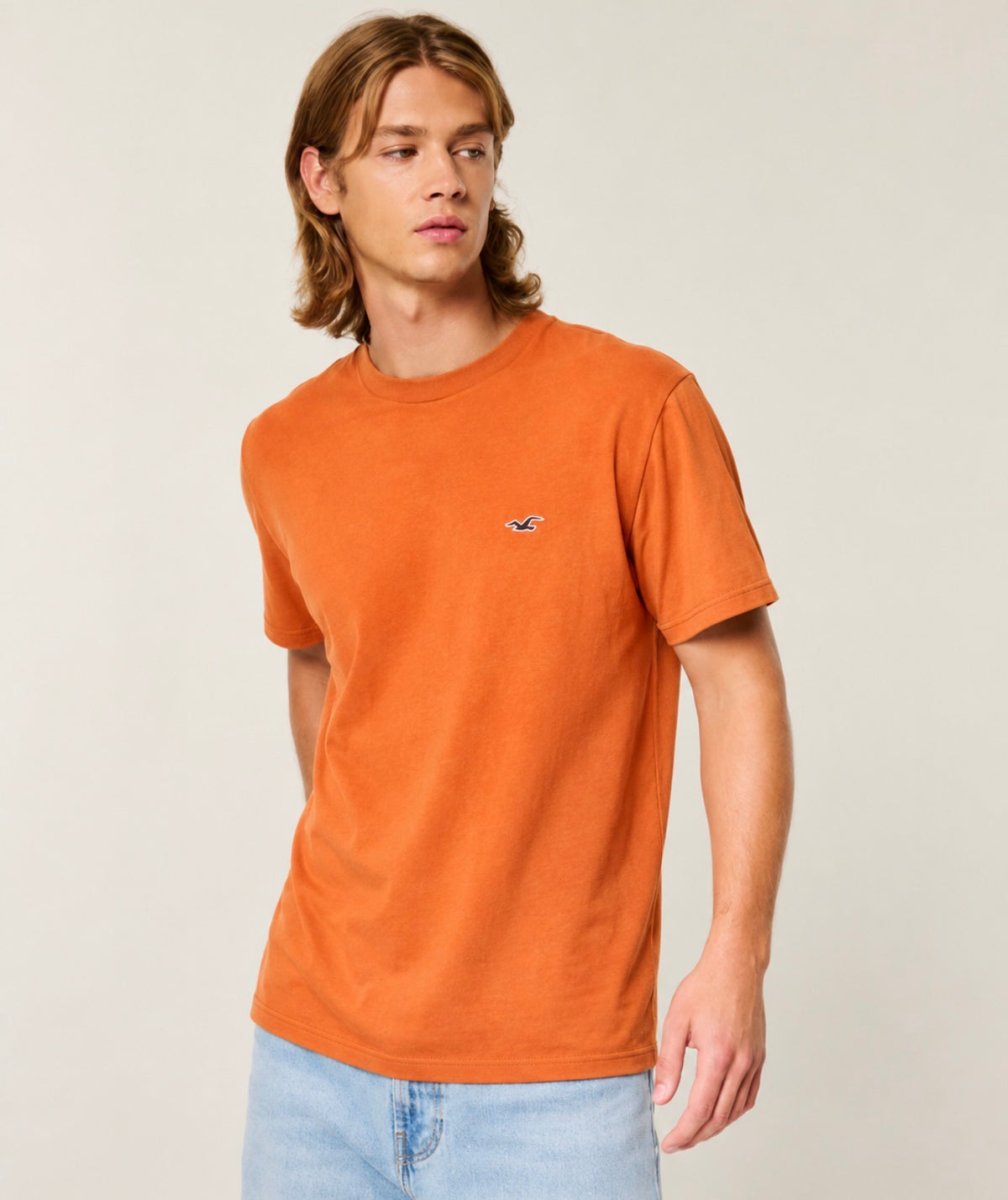 Hollister Men's Classic Tee